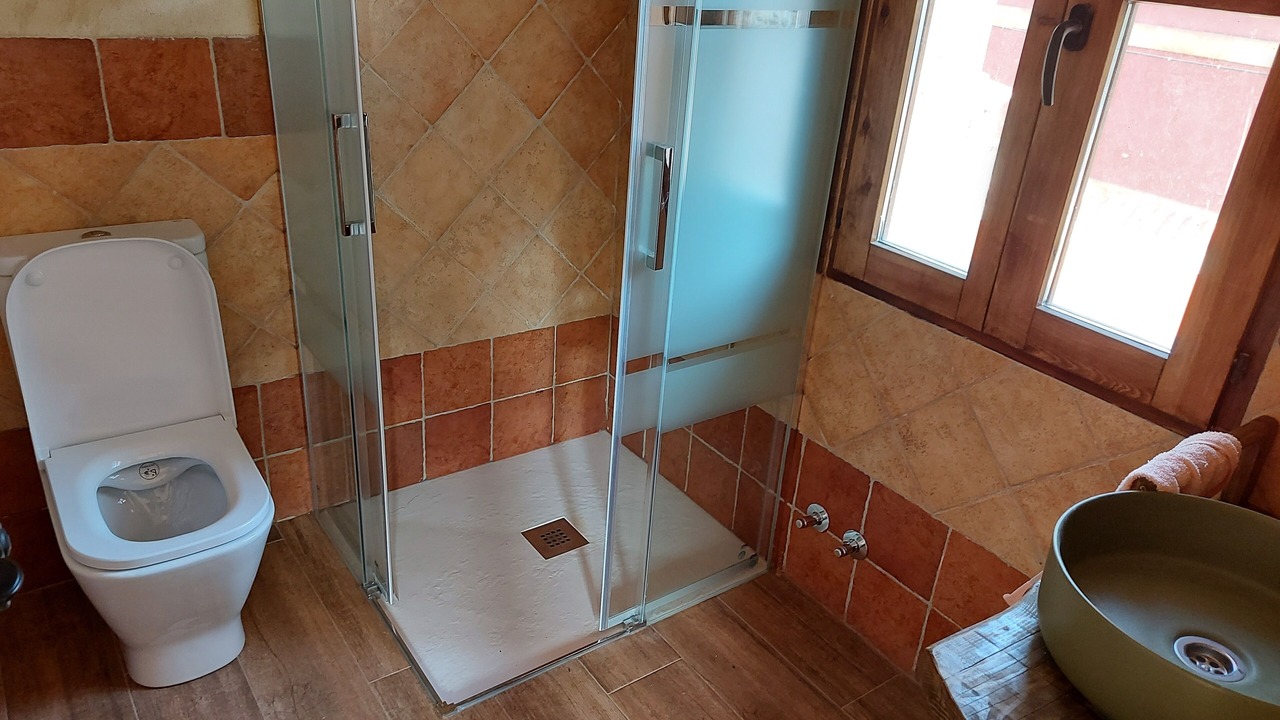 Photo of Bathroom in Alar del Rey
