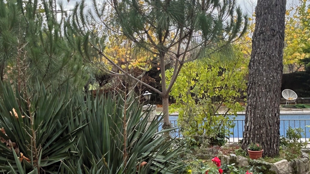 Photo of Outdoor in Collado Mediano
