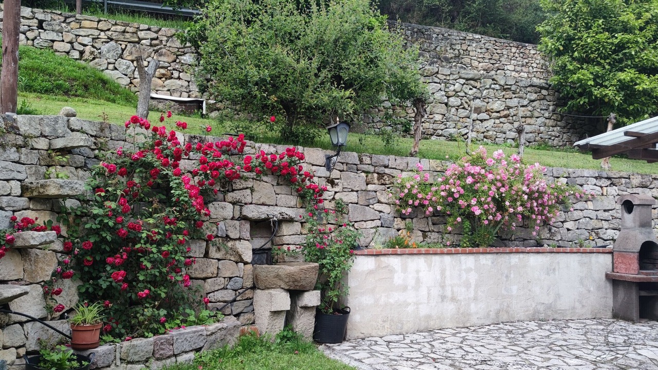 Photo of Outdoor in Penamellera Alta