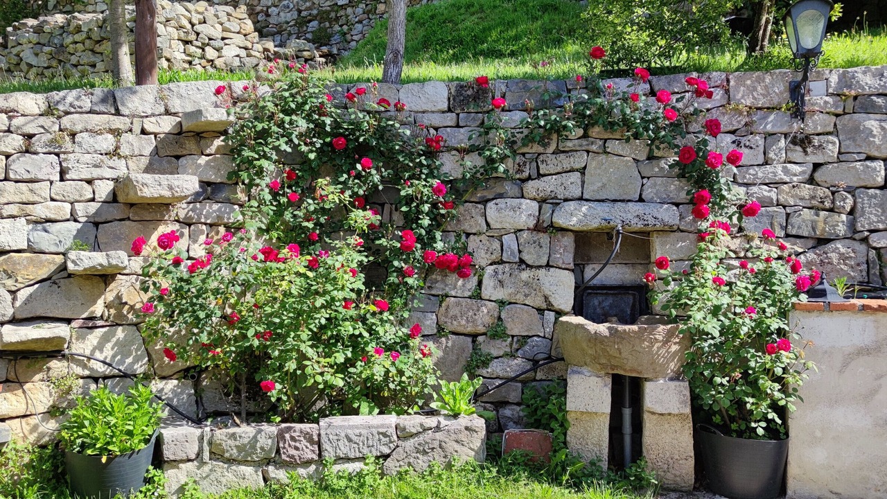 Photo of Outdoor in Penamellera Alta