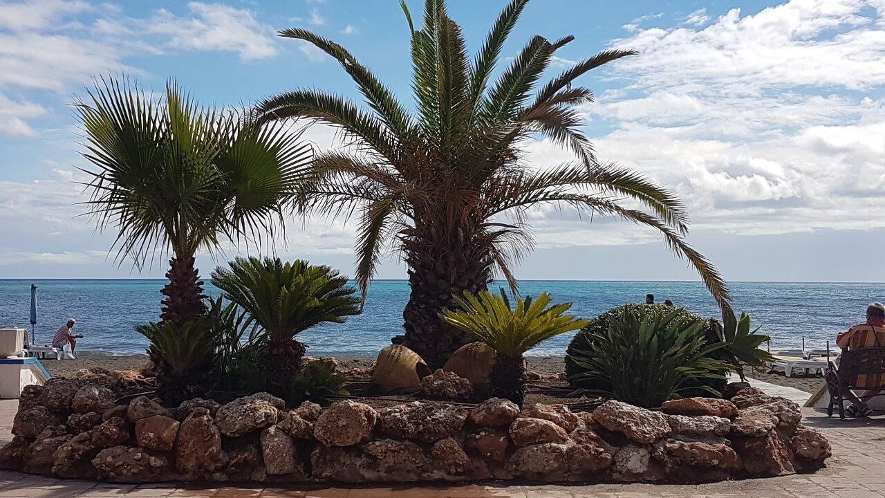 Photo of Others in Carihuela