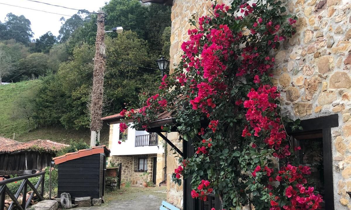 Photo of Outdoor in Vallobal