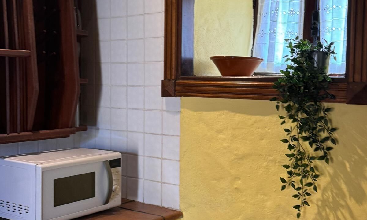 Photo of Kitchen in Icod de los Vinos