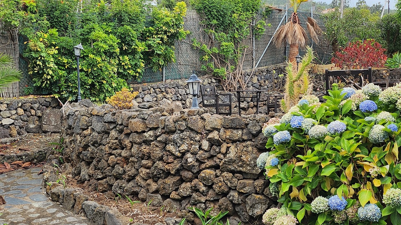 Photo of Outdoor in Icod de los Vinos