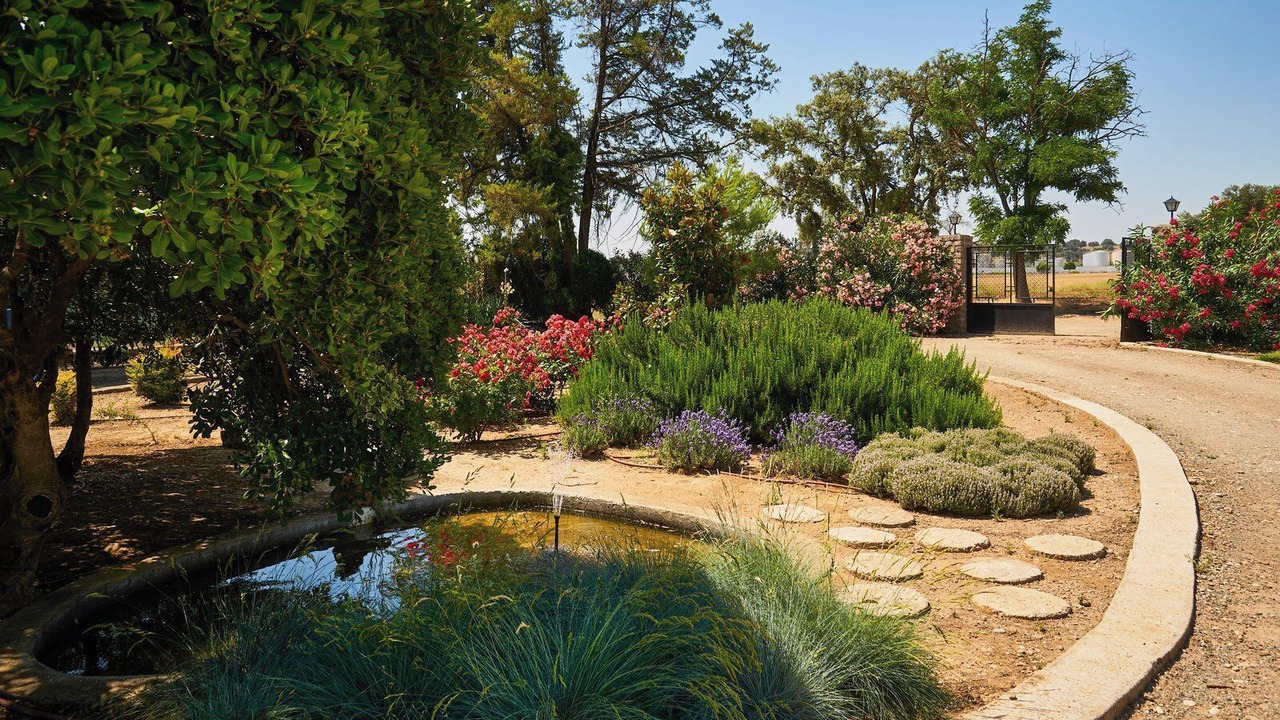 Photo of Outdoor in Espeluy