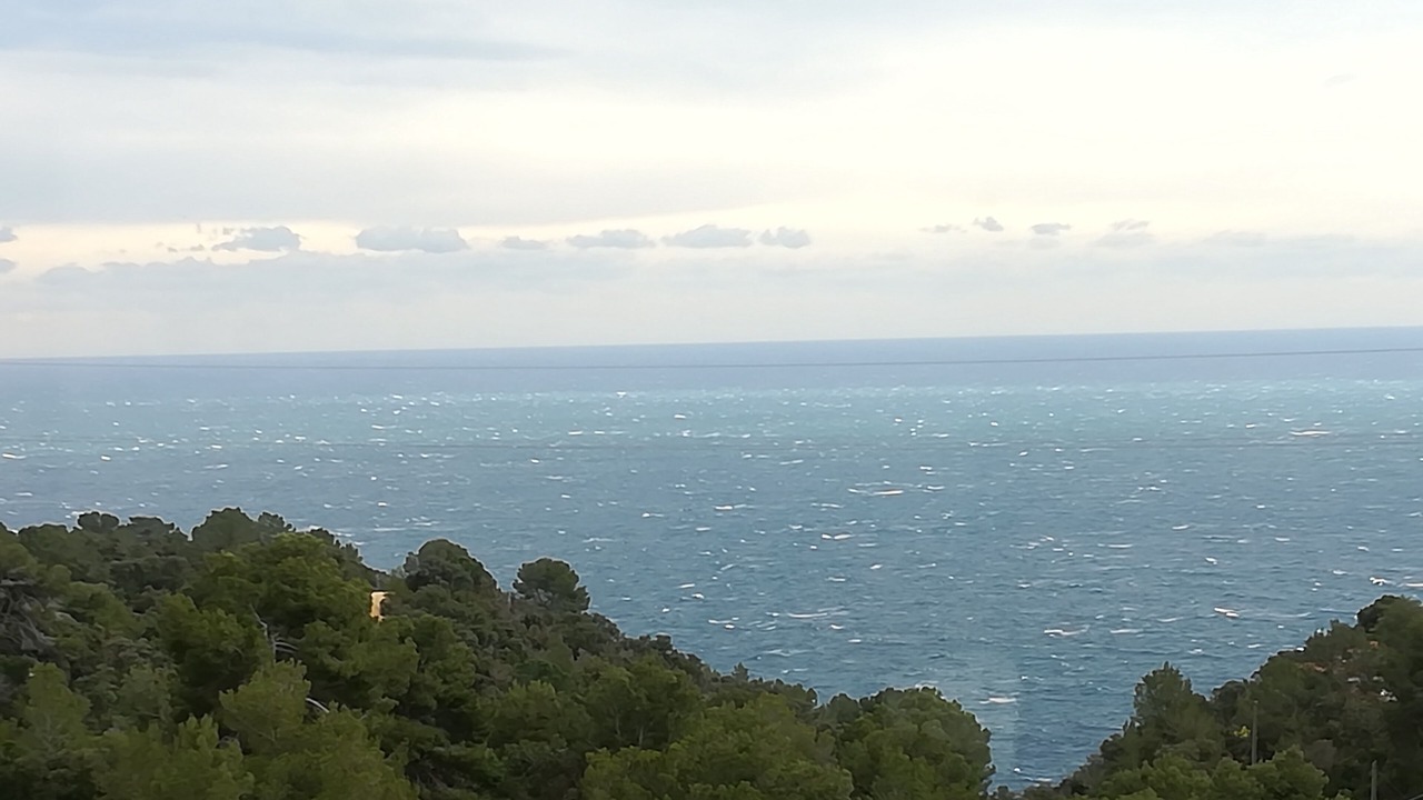 Photo of Others in Canyelles