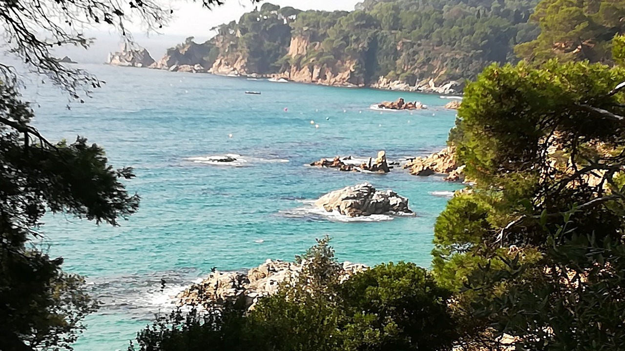Photo of Others in Canyelles