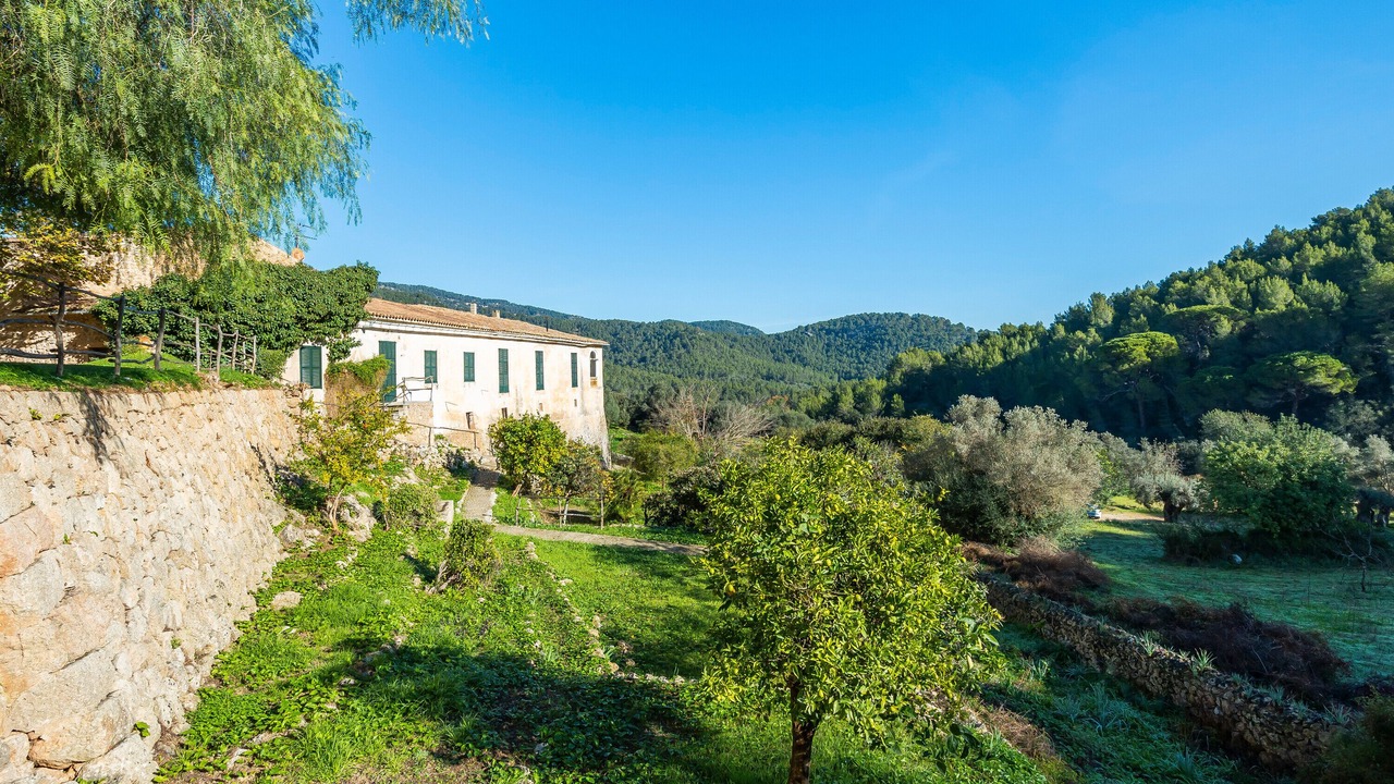 Photo of Outdoor in Calvia