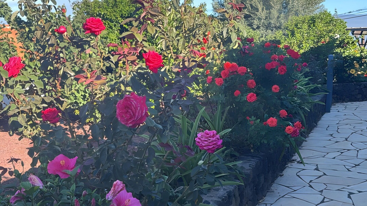 Photo of Outdoor in Las Tricias