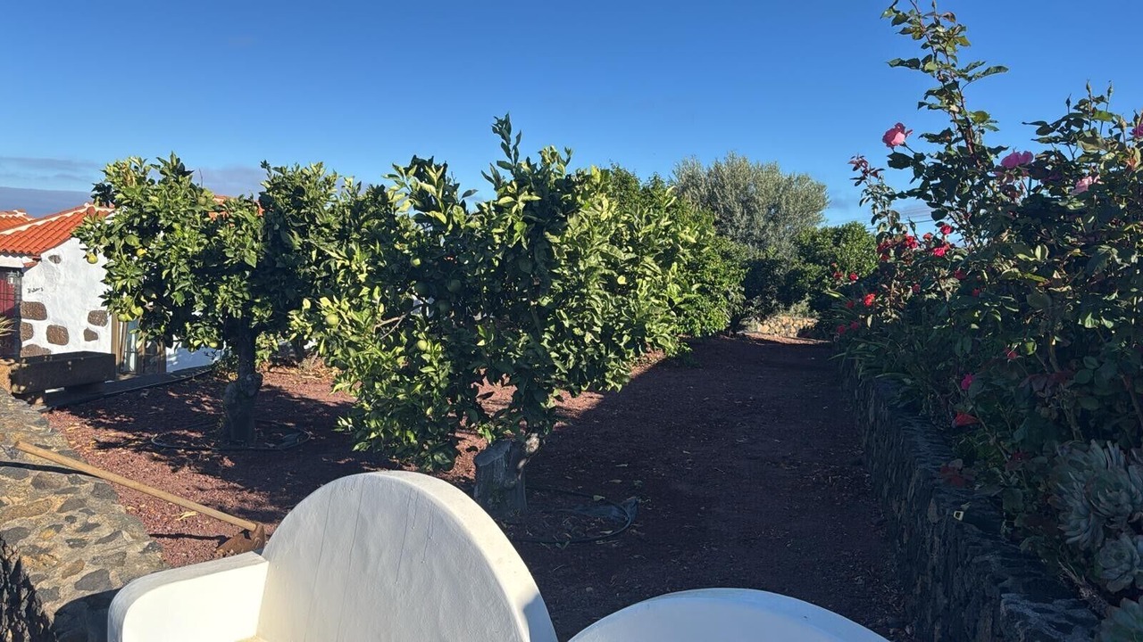 Photo of Outdoor in Las Tricias