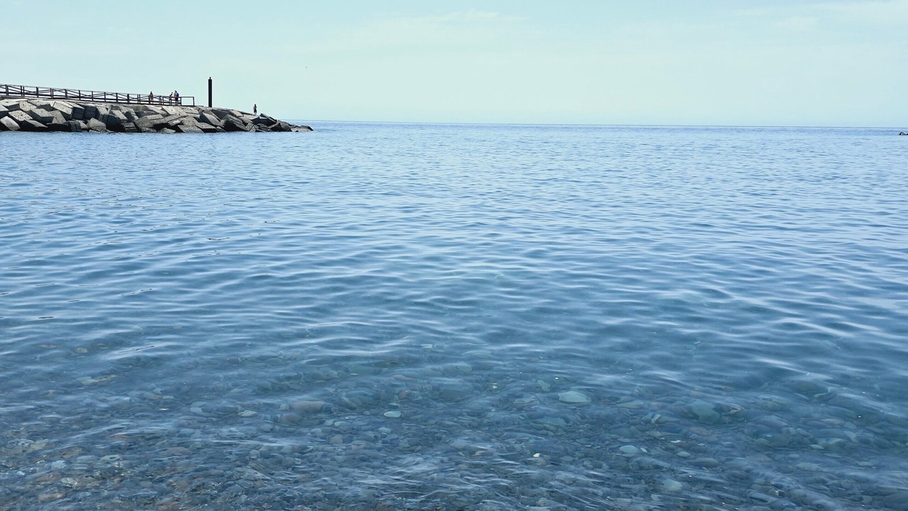 Photo of Others in Laguna de Santiago