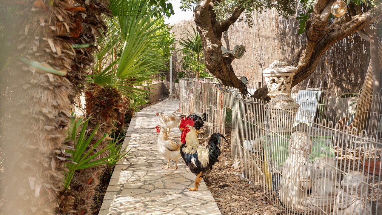 Photo of Others in Lorca