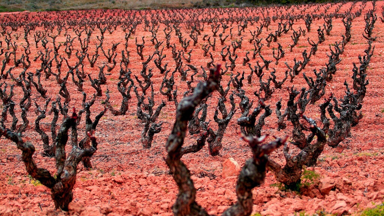 Photo of Others in Salinillas de Buradon