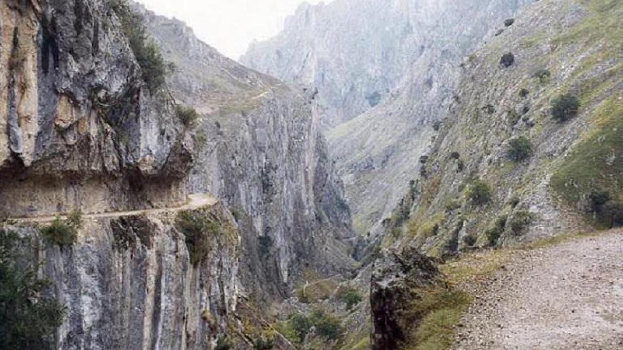 Photo of Others in Cordinanes