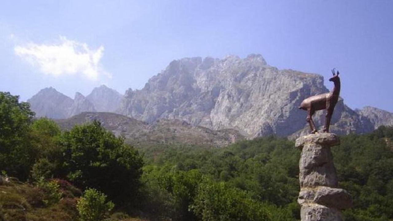 Photo of Others in Cordinanes
