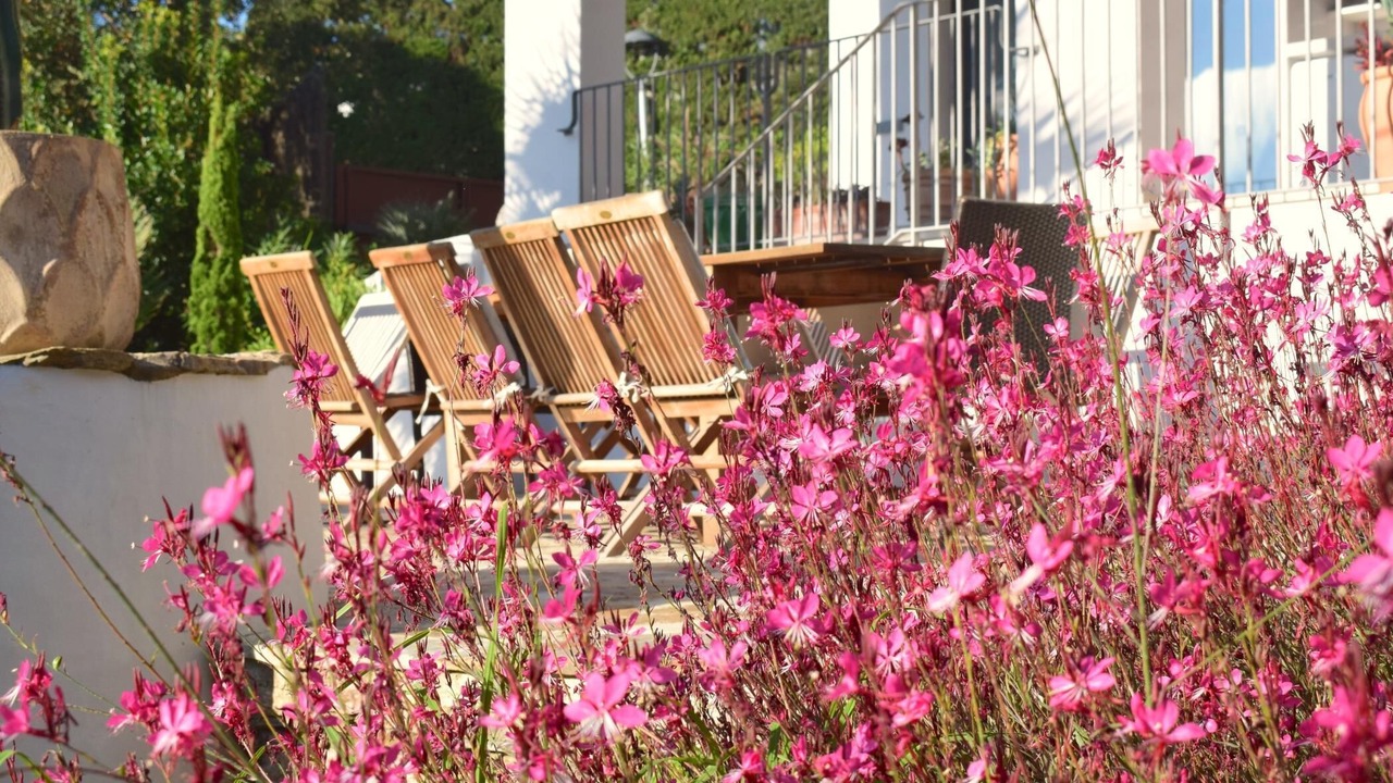 Photo of Outdoor in Aiguablava