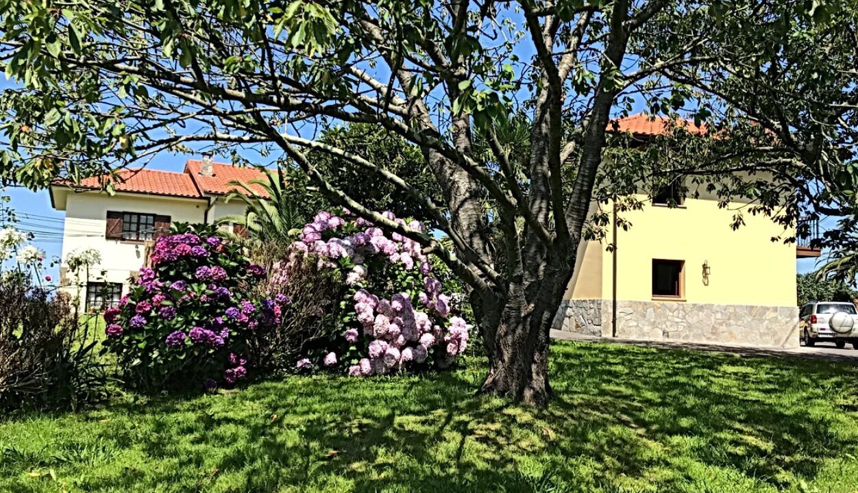 Photo of Outdoor in Ribadesella