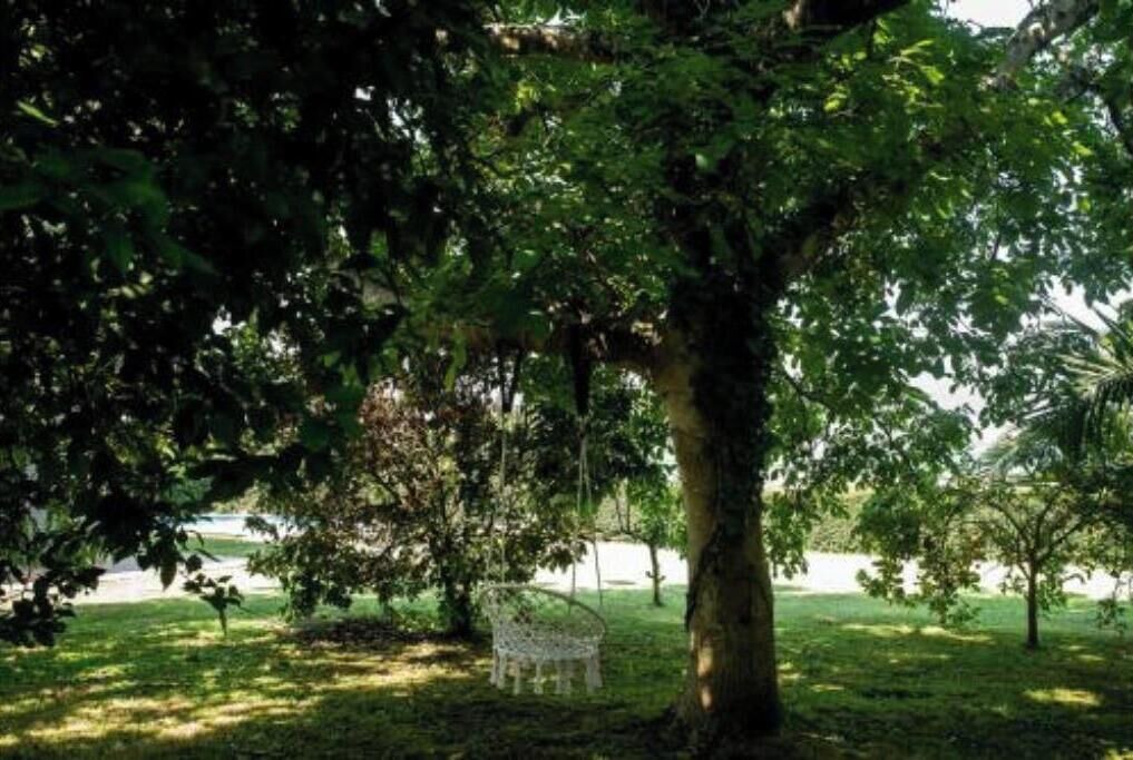 Photo of Outdoor in Redondela