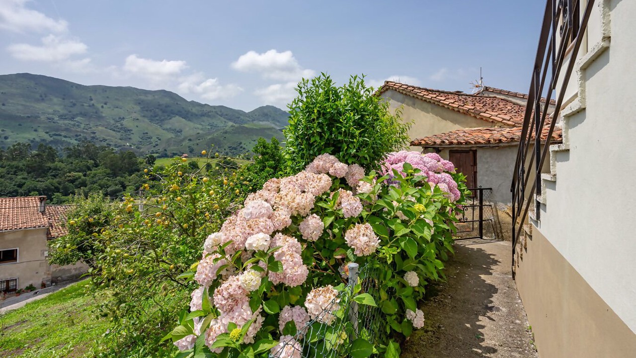 Photo of Outdoor in Llanes