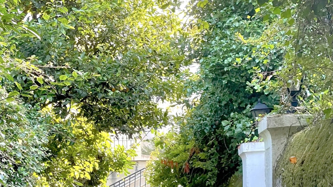 Photo of Outdoor in Covas