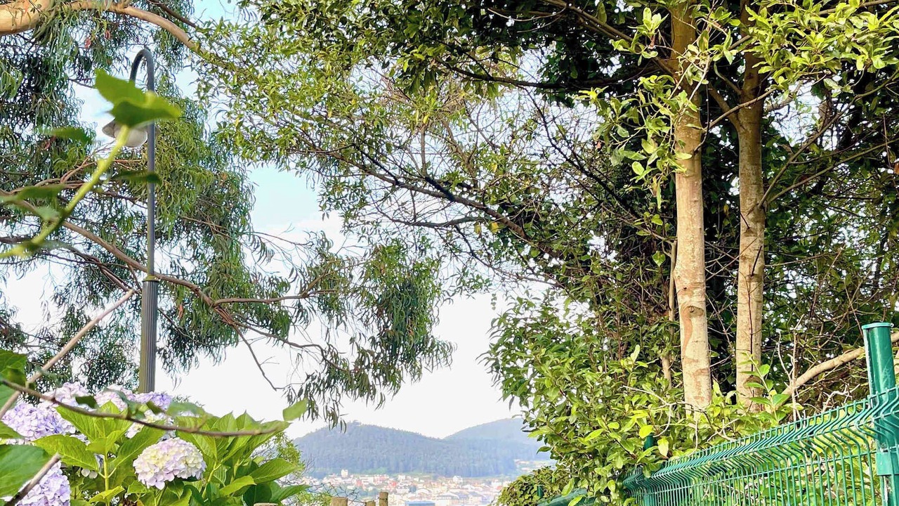 Photo of Outdoor in Covas