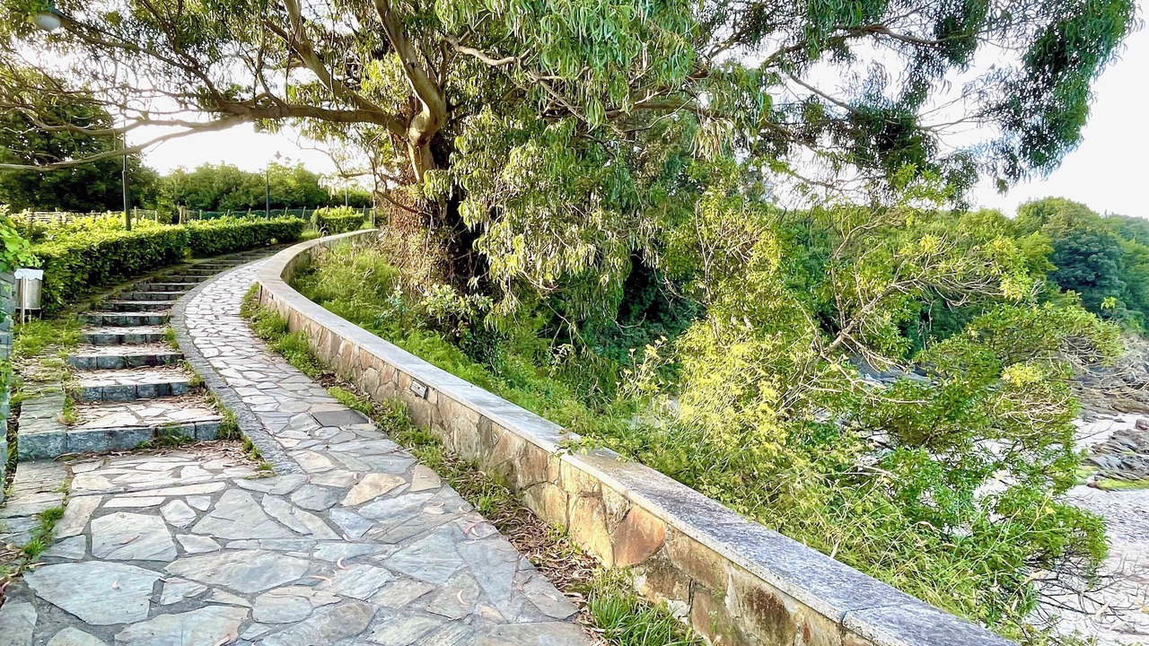Photo of Outdoor in Covas