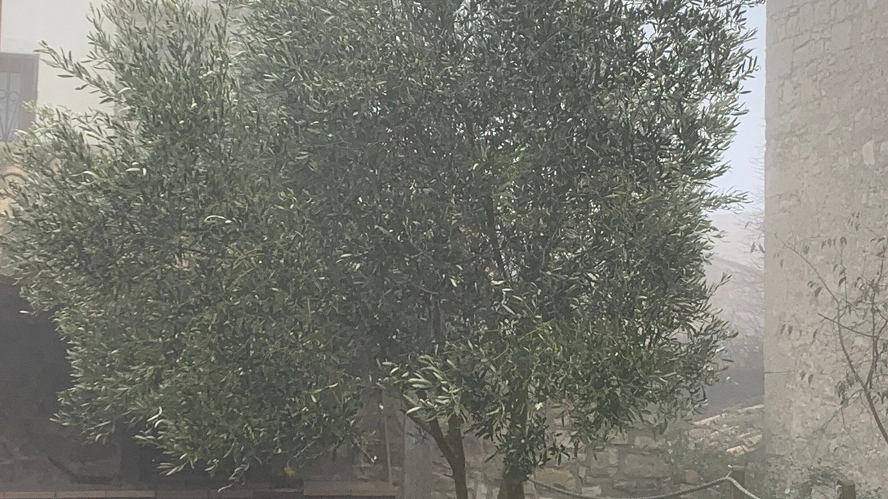 Photo of Outdoor in Savalla del Comtat