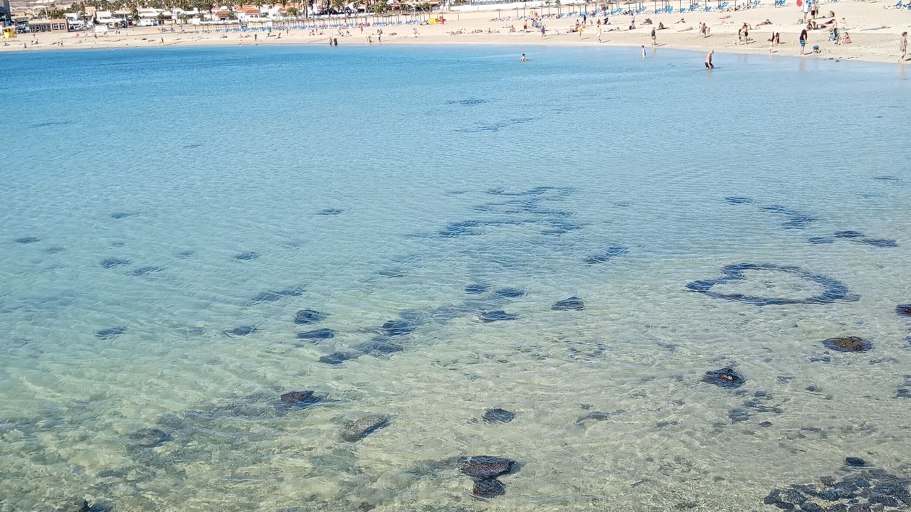 Photo of Others in Castillo Caleta de Fuste