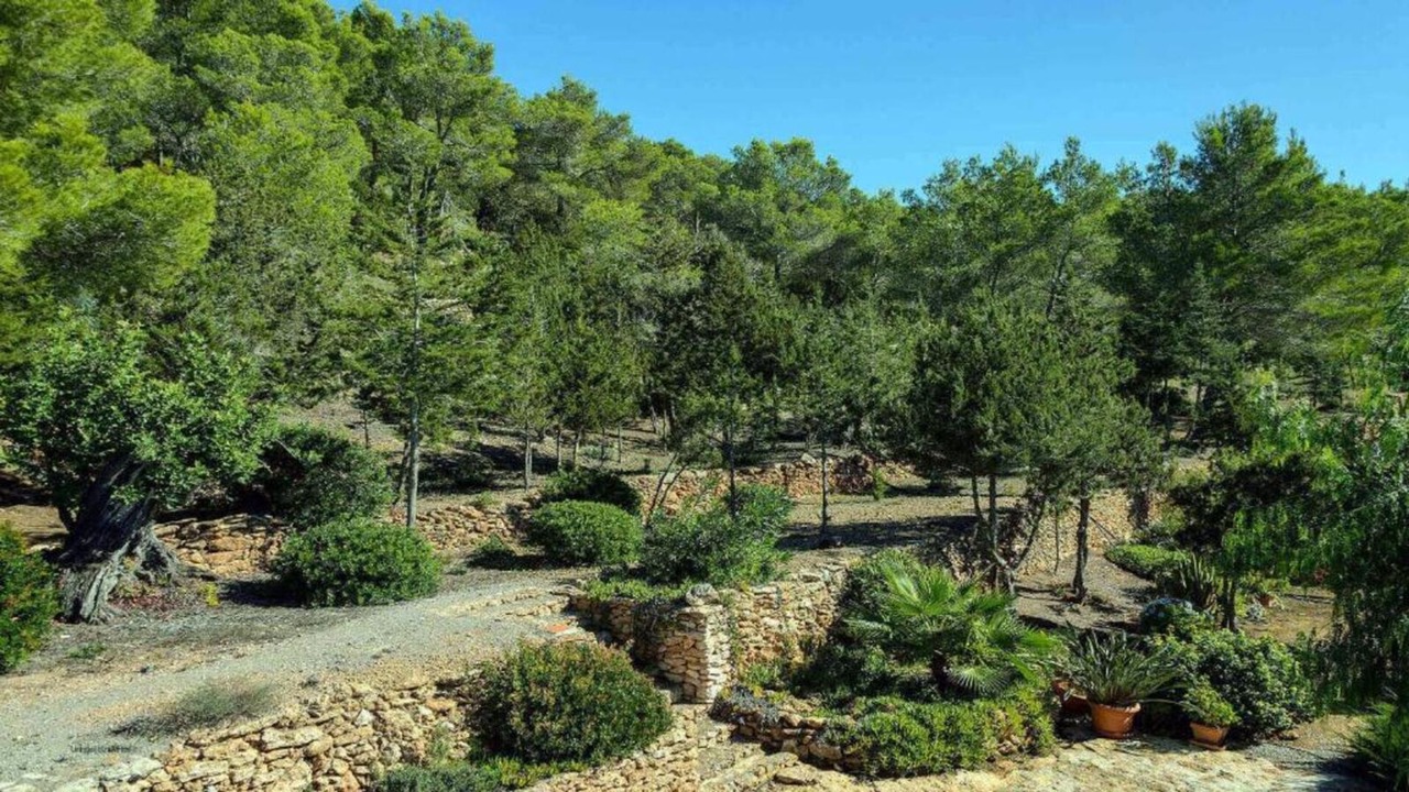 Photo of Outdoor in Sant Carles de Peralta
