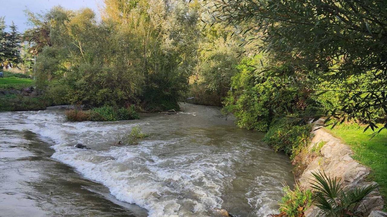 Photo of Others in Cuzcurrita de Rio Tiron