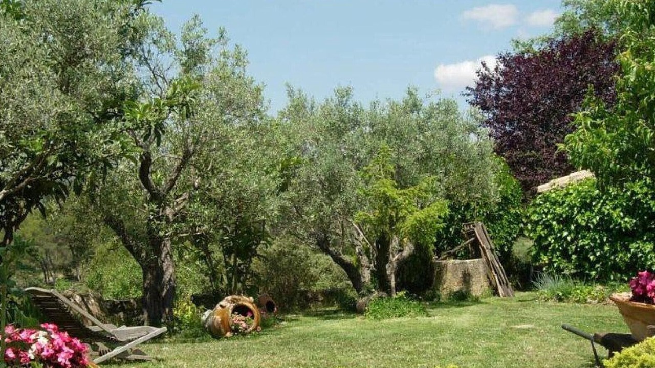 Photo of Outdoor in Murillo de Gallego