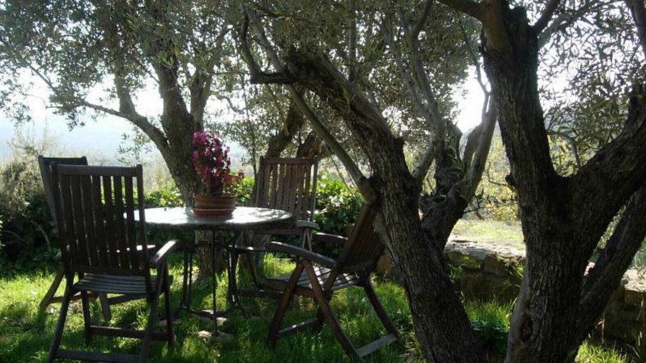 Photo of Outdoor in Murillo de Gallego