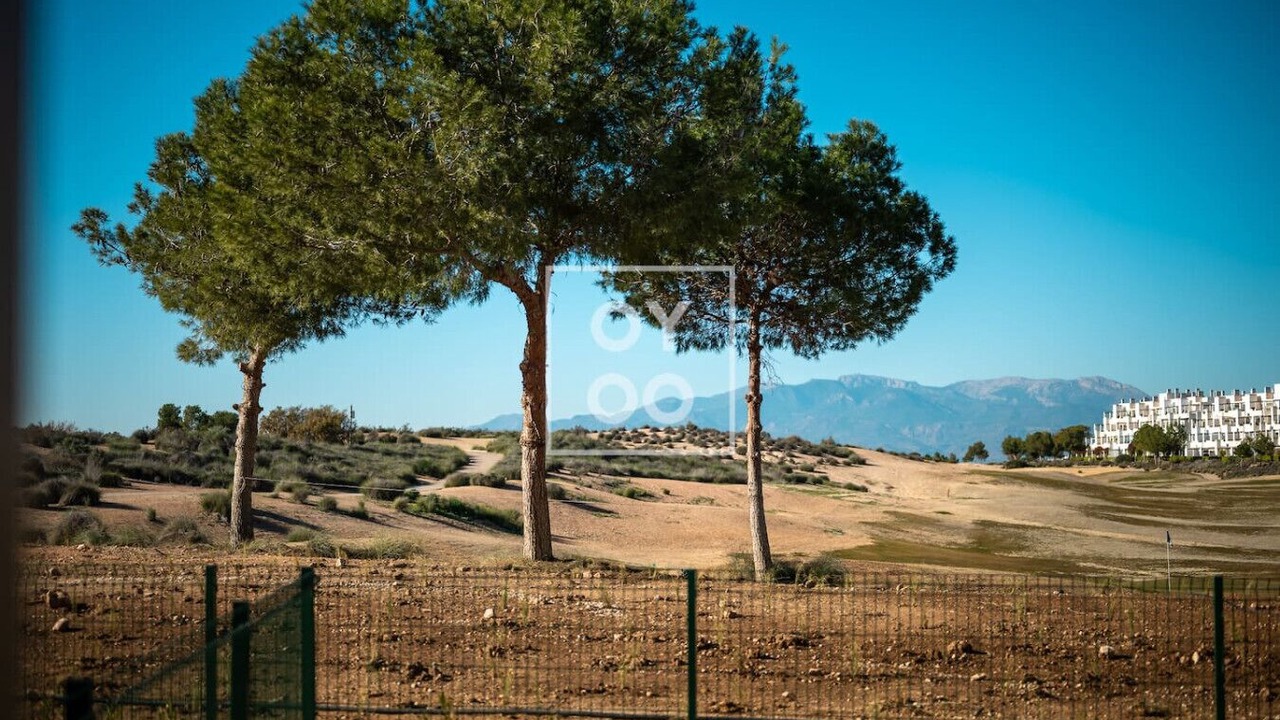 Photo of Others in Alhama de Murcia