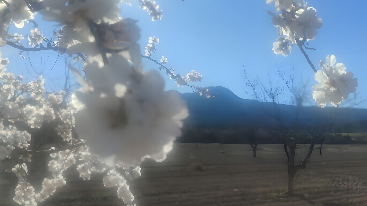 Photo of Others in Moratalla