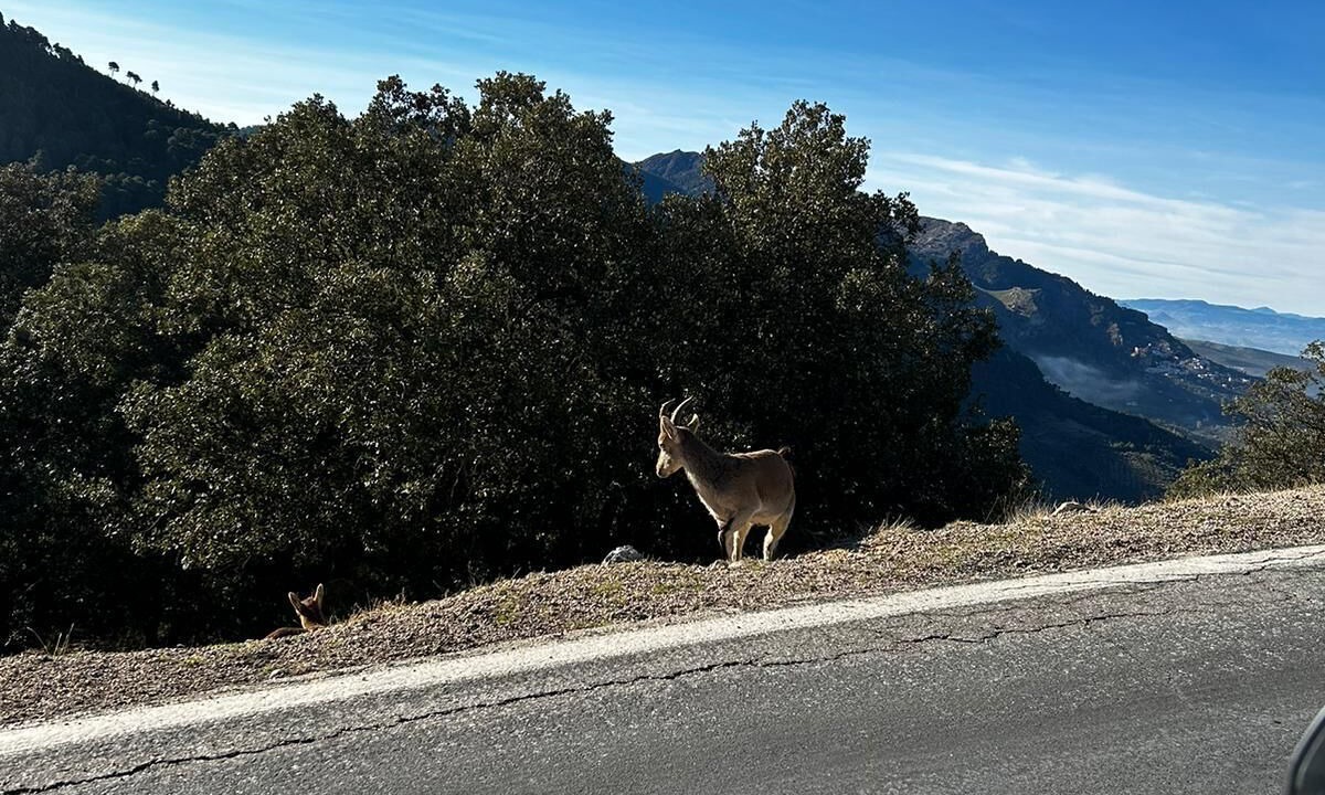 Photo of Others in Arroyo Frio