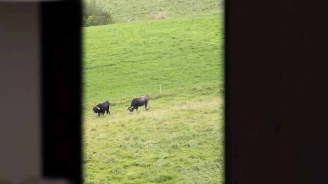 Photo of Others in Caviedes