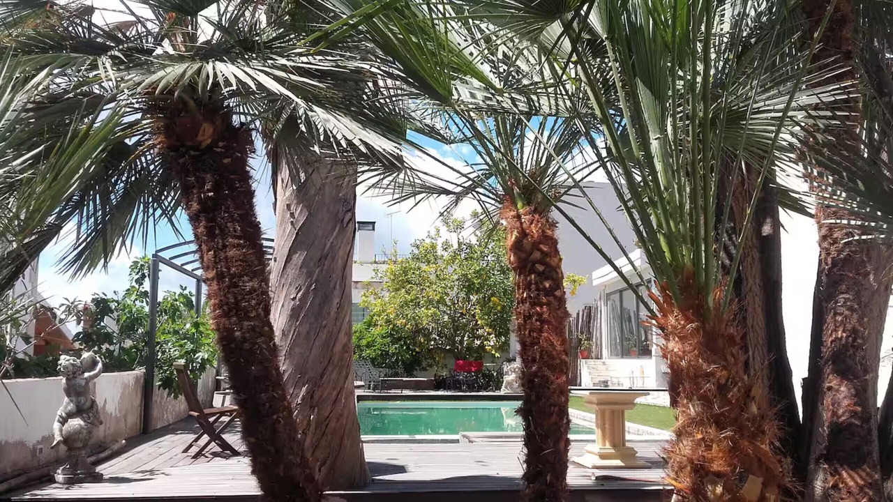 Photo of Outdoor in Calamayor
