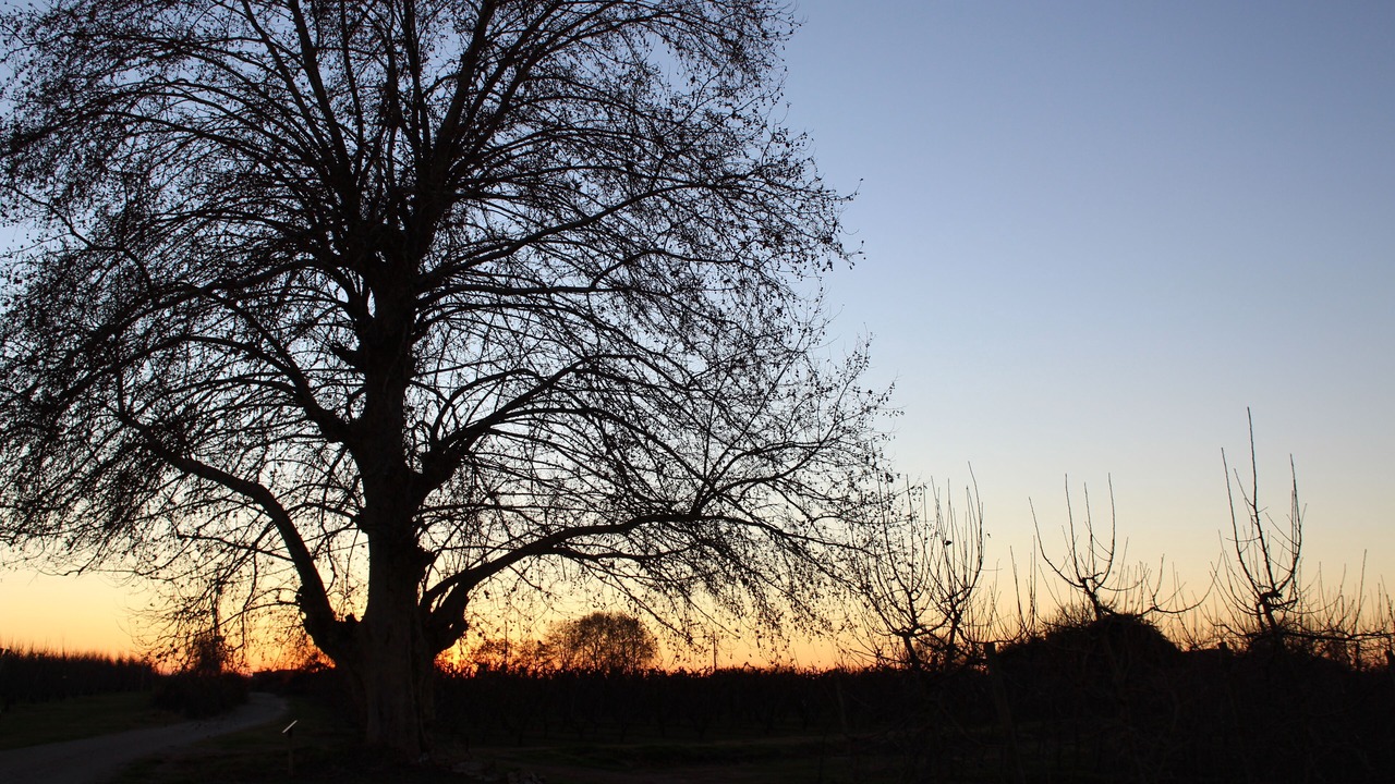 Photo of Outdoor in El Tarros