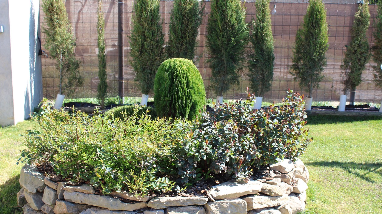 Photo of Outdoor in El Tarros