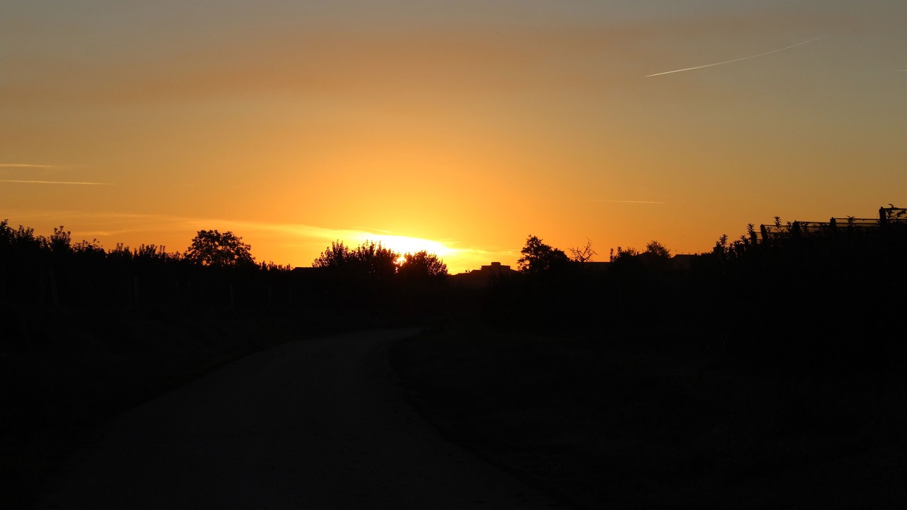 Photo of Outdoor in El Tarros