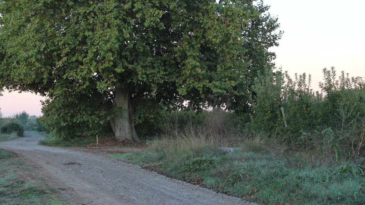 Photo of Outdoor in El Tarros