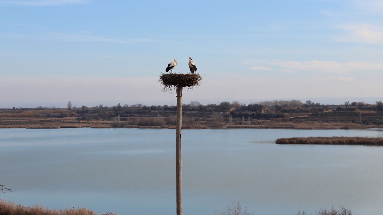 Photo of Others in El Tarros