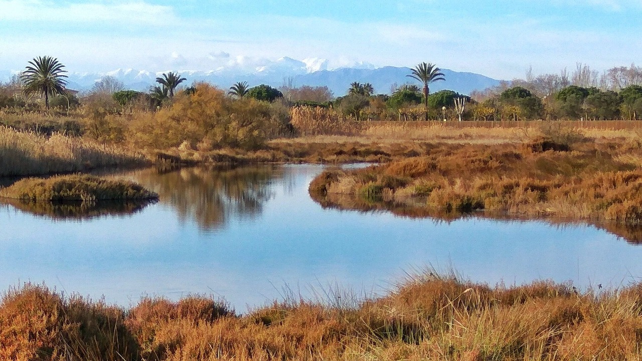 Photo of Others in Empuriabrava