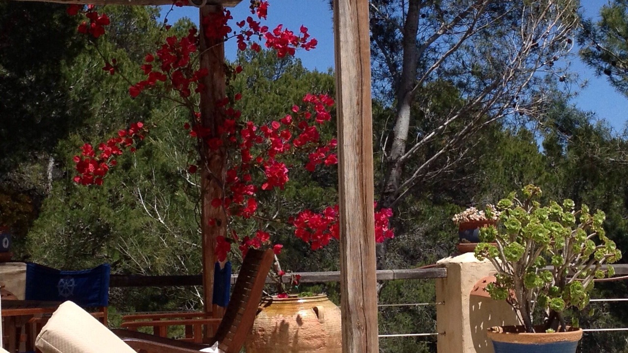 Photo of Patio Balcony in Es Cubells