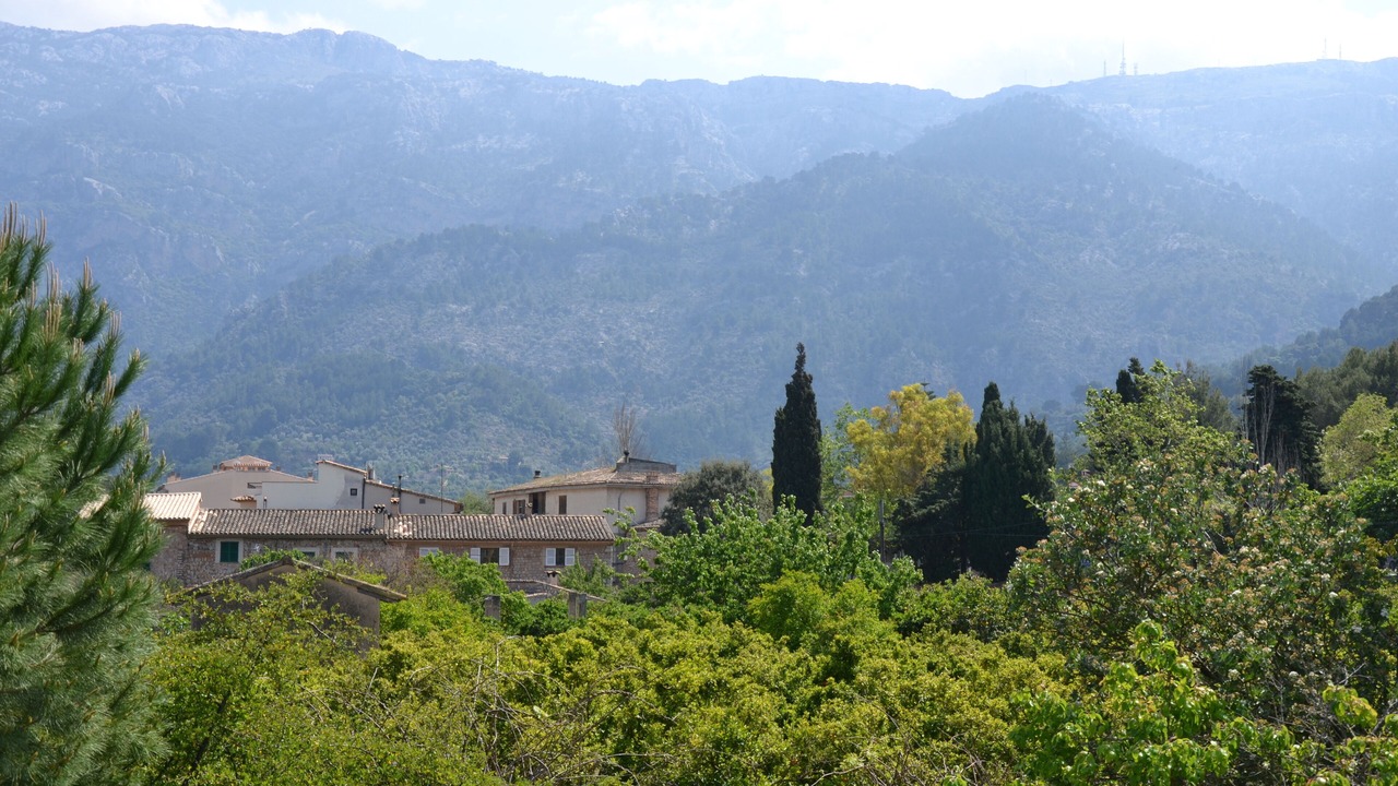 Photo of Outdoor in Soller