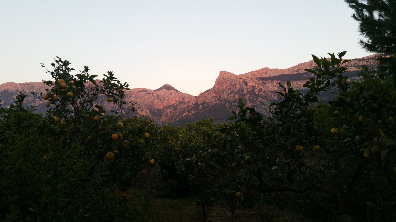 Photo of Outdoor in Soller