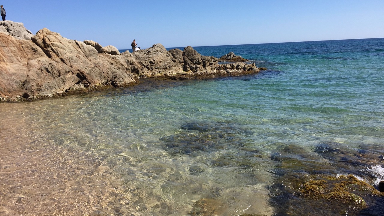 Photo of Others in Lloret de Mar