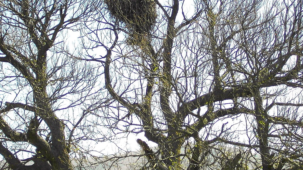 Photo of Outdoor in Noceda