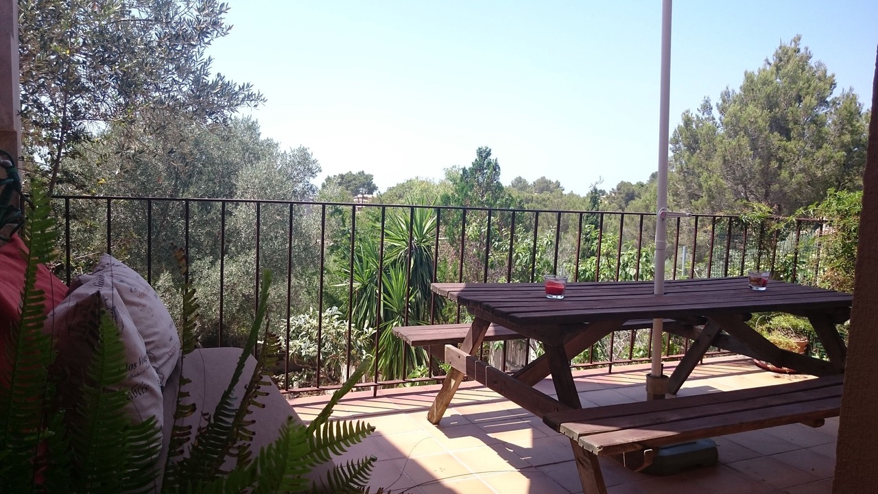 Photo of Others in Valldemossa