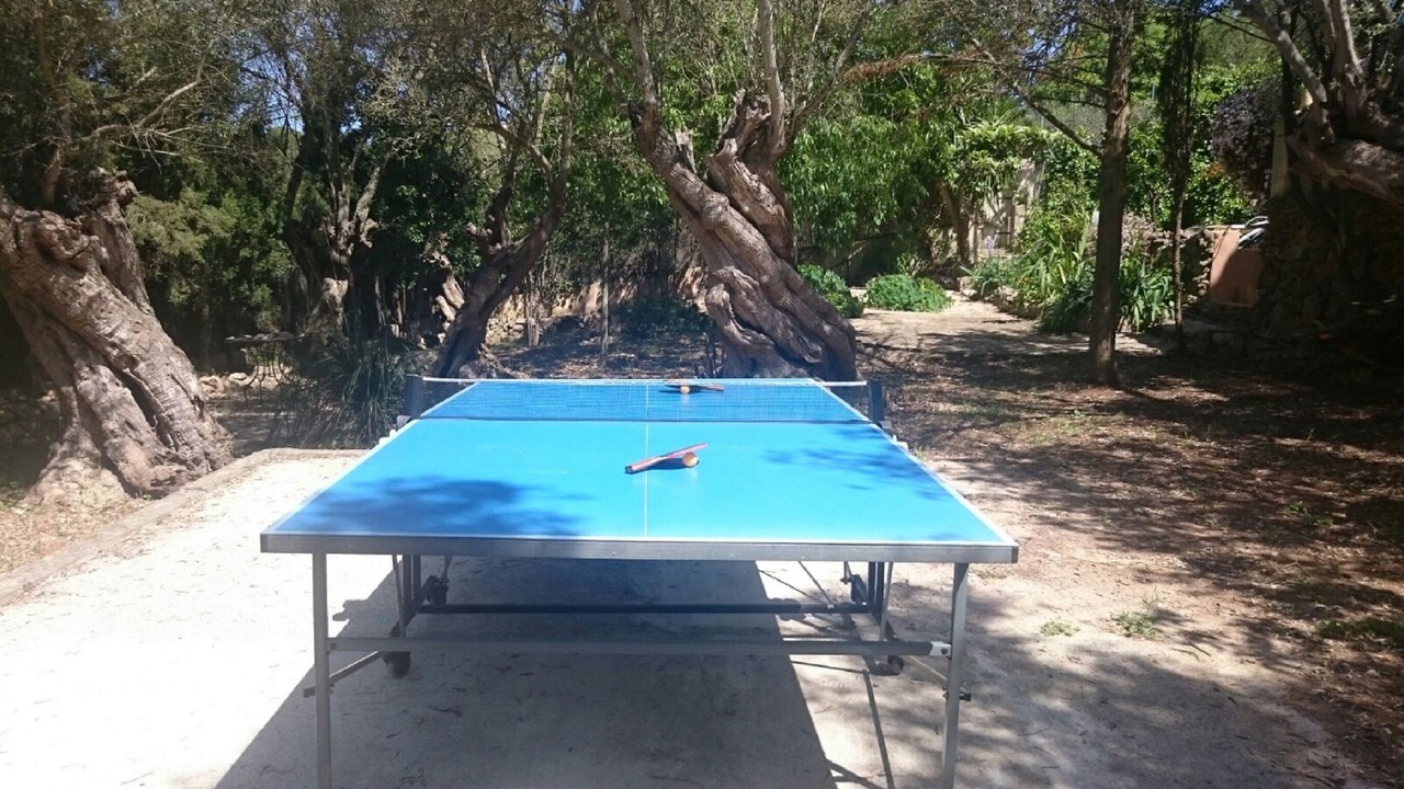 Photo of Outdoor in Valldemossa